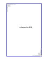 Tài liệu Understanding SQL ppt