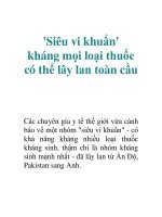 Tài liệu ''''Siêu vi khuẩn'''' kháng mọi loại thuốc có thể lây lan toàn cầu docx