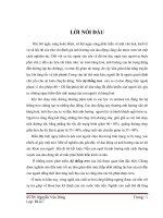 Tính toán và kiểm nghiệm bền hệ thống treo cho xe tải 4 tấn 