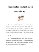 Tài liệu Nguyên nhân của bệnh ghẻ và cách điều trị ppt