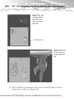 Tài liệu 2D Artwork and 3D Modeling for Game Artists- P4 doc