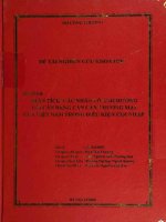 Phân tích các nhân tố ảnh hưởng tới cân bằng cán cân thương mại của việt nam trong điều kiện hội nhập 
