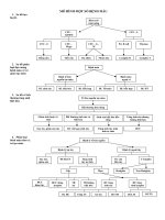 Tài liệu MÔ HÌNH MỘT SỐ BỆNH MÁU docx