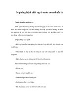 Tài liệu Đề phòng bệnh chết rạp ở vườn ươm thuốc lá doc