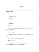 Tài liệu Xà cừ pptx