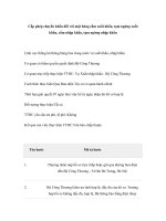 Tài liệu Cấp phép chuyển khẩu đối với mặt hàng cấm xuất khẩu, tạm ngừng xuất khẩu, cấm nhập khẩu, tạm ngừng nhập khẩu pptx