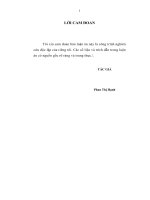 Hiện đại hóa hoạt động của các ngân hàng thương mại việt nam 