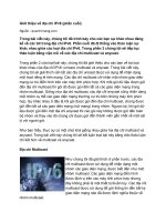 Tài liệu Giới thiệu về địa chỉ IPv6 (phần cuối) docx