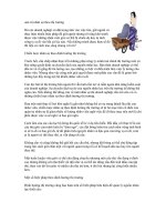 Tài liệu Quản trị nhân sự theo thị trường pdf