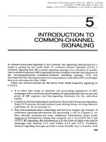 Tài liệu Tín hiệu trong các mạng viễn thông P5 docx