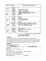 Gián án GA lớp 3- Tuần 22, CKT-KNS- Vân