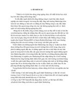 Môi trường vĩ mô ảnh hưởng đến quyết định Marketing và liên hệ với môi trường vĩ mô ở Việt Nam