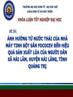 Slide ẢNH HƯỞNG từ nước THẢI của NHÀ máy TINH bột sắn FOCOCEV đến hiệu QUẢ sản XUẤT lúa của NGƯỜI dân xã hải lâm, HUYỆN hải LĂNG, TỈNH QUẢNG TRỊ 