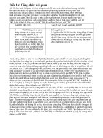 Biên soạn ôn thi công chức Hải Quan