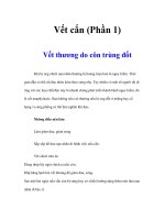 Tài liệu Vết cắn (Phần 1) docx
