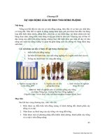 Tài liệu Giáo trình sinh thái học đồng ruộng - Chương 3 pdf