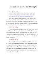 Tài liệu Chăm sóc sức khoẻ bò sữa (Chương V) doc