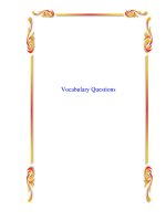 Tài liệu Vocabulary Questions docx