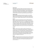 Tài liệu Nothing But Net 2009 Internet Investment Guide 7 pptx