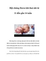 Tài liệu Hội chứng Down khi thai nhi từ 11 đến gần 14 tuần doc