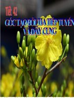 Gián án goc tao boi tia tt va day cung