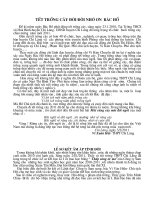 Gián án Bai viet Ban tin chop Web cua Truong