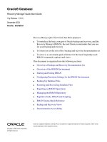 Tài liệu Recovery Manager Quick Start Guide pdf
