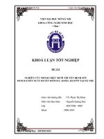 KHÓA LUẬN nghiên cứu mồi bả diệt muỗi truyền bệnh sốt denguesốt xuất huyết dengue aedes aegypti tại hà nội 