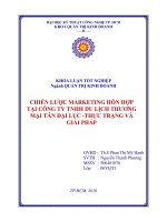 Chiến lược marketing hỗn hợp tại công ty TNHH du lịch thương mại tân đại lục  thực trạng và giải pháp 