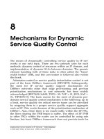 Tài liệu Thực hiện chất lượng dịch vụ trong các mạng IP (P8) pptx