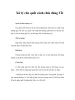 Tài liệu Xử lý cho quất cảnh chín đúng Tết doc