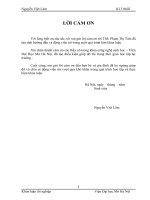 Khóa luận phân lập và tuyển chọn các chủng vi khuẩn có khả năng sinh enzym xellulaza và thử nghiệm xử lí rơm thành cơ chất hữu cơ 