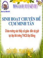 Bài soạn Ôn tập cuối năm T67 ĐS 9 (SH Chuyên đề cụm)
