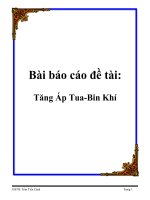 Tài liệu Bài báo cáo đề tài: Tăng Áp Tua-Bin Khí pptx