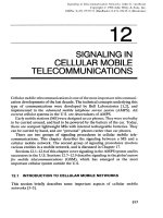 Tài liệu Tín hiệu trong các mạng viễn thông P12 pdf