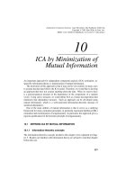 Tài liệu Bài 10: ICA by Minimization of Mutual Information pdf