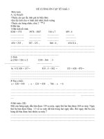 Bài soạn ĐỀ CƯƠNG ÔN TẬP TRONG TẾT