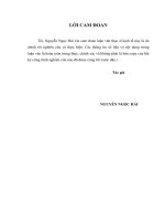 Một số giải pháp nhằm hạn chế rủi ro tín dụng tại ngân hàng thương mại cổ phần đại á 