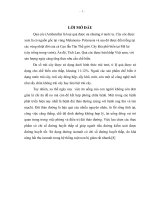 Đề tài nghiên cứu sản xuất bột trái cóc hòa tan 