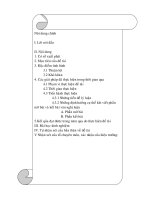 Gián án de tai (thang)