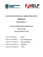 Thạc sỹ đánh giá chiến lược của ngân hàng thương mại cổ phần an bình và đề xuất một số giải pháp để hoàn thiện chiến lược 