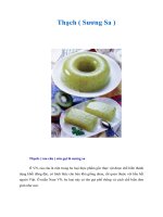 Tài liệu Thạch ( Sương Sa ) pptx