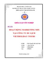Hoạt động marketing mix tại công ty du lịch vietholiday tour 