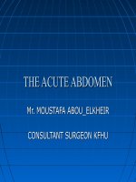 Tài liệu THE ACUTE ABDOMEN pdf
