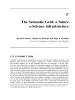 Tài liệu Grid Computing P17 docx