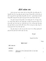 Khảo sát khả năng điều biến của laser bán dẫn phản hồi phân bố hai ngăn 