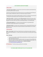 CẤU TRÚC một LUẬN văn tốt NGHIỆP 