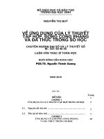 Về ứng dụng của lý thuyết tập hợp, đường cong phẳng và đa thức trong số học 