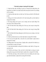 Tài liệu Câu hỏi tự luận tư tưởng Hồ Chí Minh doc