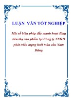 Tài liệu Luận văn tốt nghiệp ”Một số biện pháp đẩy mạnh hoạt động tiêu thụ sản phẩm tại Công ty TNHH phát triển mạng lưới toàn cầu Nam Dũng” docx